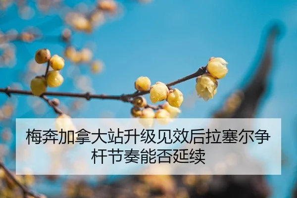 mei-ben-jia-na-da-zhan-sheng-ji-jian-xiao-hou-la-sai-er-zheng-gan-jie-zou-neng-fou-yan-xu-2-396.jpg