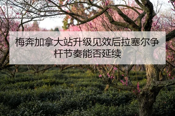 梅奔加拿大站升级见效后拉塞尔争杆节奏能否延续