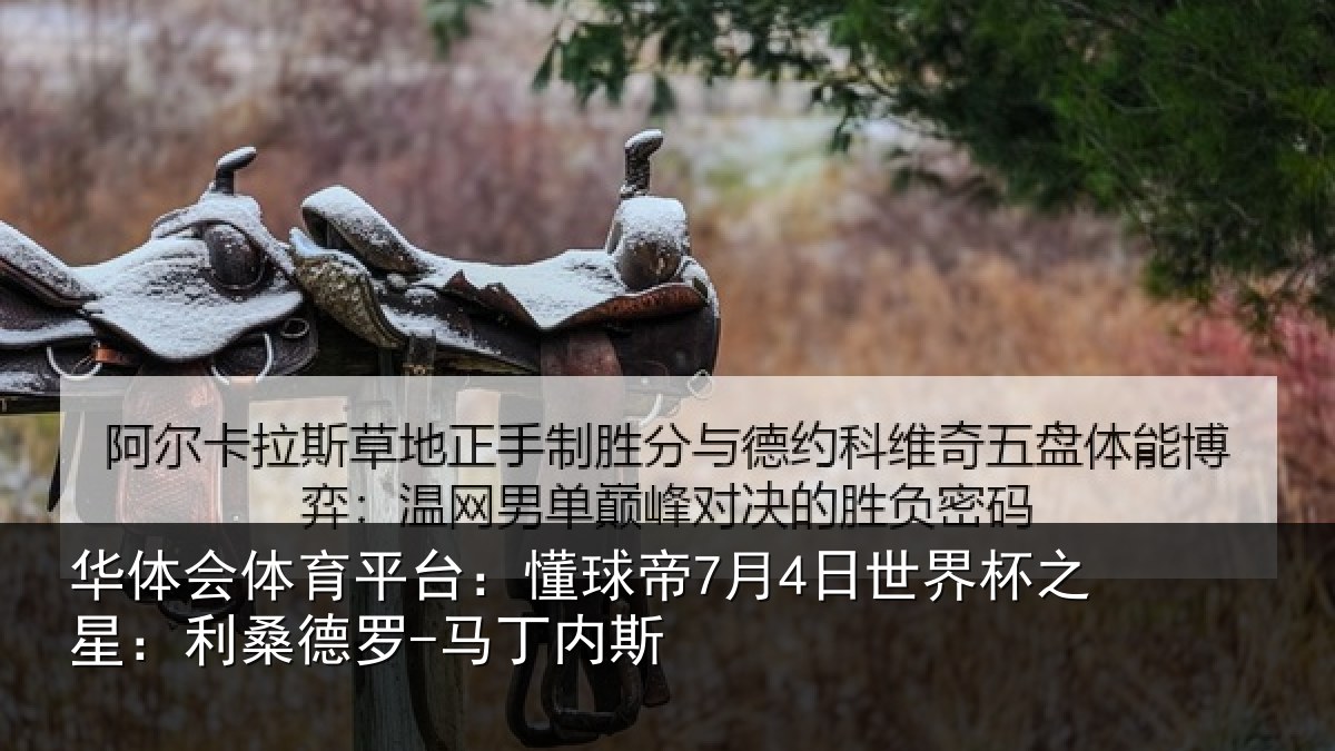华体会体育平台：懂球相关情况：利桑德罗-马丁内斯